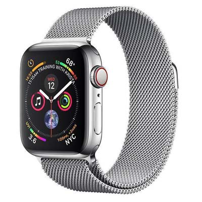 Apple Watch Series 4 (Stainless Case 44 mm)
