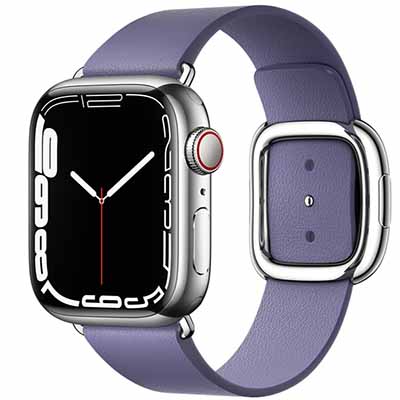 Apple Watch Series 7 (GPS+Celluar) 45MM Stainless Steel